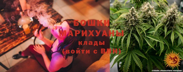 гидропоника Богданович